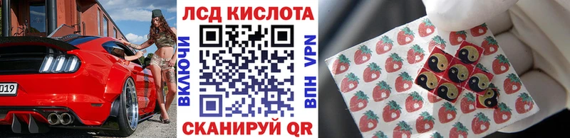 блэк спрут   Берёзовский  Наркотические марки 1500мкг 