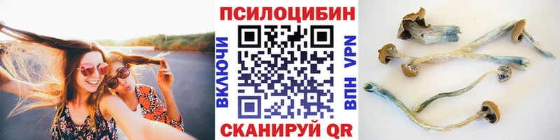 купить   Берёзовский  Псилоцибиновые грибы мухоморы 